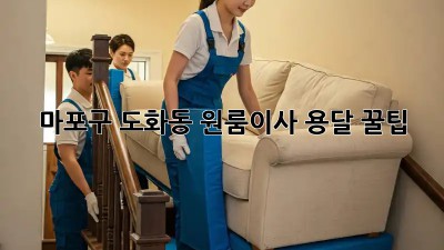 마포구 도화동 원룸이사 용달 꿀팁🍯