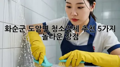 화순군 도암면 청소업체 추천: 5가지 놀라운 장점!
