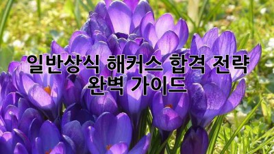 일반상식 해커스 합격 전략 완벽 가이드