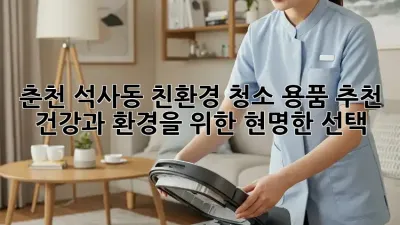 춘천 석사동 친환경 청소 용품 추천: 건강과 환경을 위한 현명한 선택